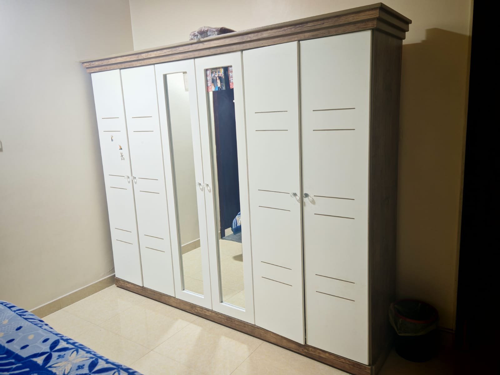 WhatsApp Image 2026-03-11 at 3.52.15 PM (1)